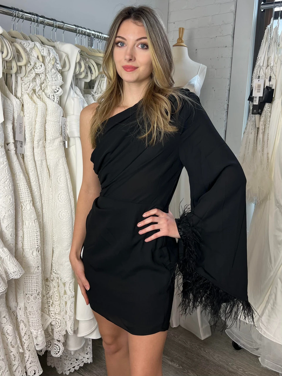 Size Small, Cleo One Sleeve Mini Dress - Black Feather-FINAL SALE - Image 4