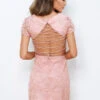 SIZE 2, Shay Lace Dress - Pink - FINAL SALE
